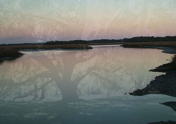 8 x 10 | 2011 | Series of 24 <br> Nature + Beauty + Peace + Calm + Grace + Haunted Past.