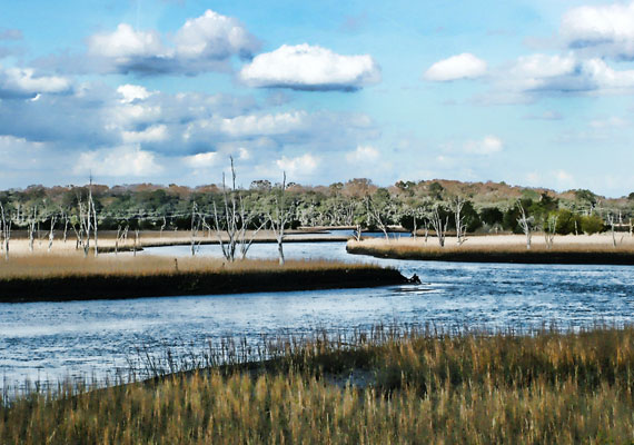 9.75 x 13 | 2011 | Series of 12 <br> Nature + Calm + Peaceful + Low Country.